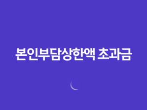 본인부담상한액 초과금 최대 132만원, 의료 지원혜택 소개 21