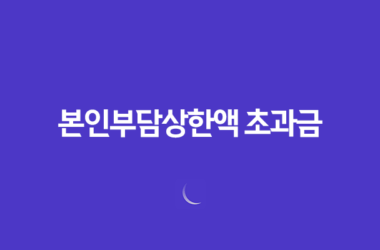본인부담상한액 초과금 최대 132만원, 의료 지원혜택 소개 17