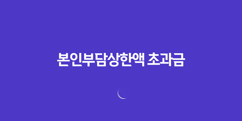 본인부담상한액 초과금 최대 132만원, 의료 지원혜택 소개 655