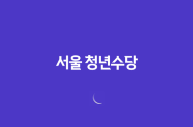 서울 청년수당 1인당 최대 300만원, 신청 방법과 지급 형태 알아보기 13