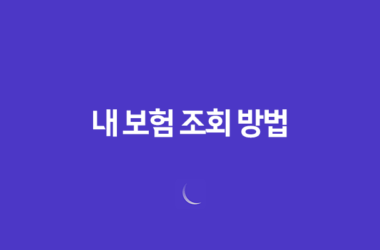 내 보험 조회 - 2025년, 내 보험 찾고 숨은 보험금까지 확인하는 5가지 방법 9