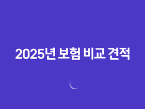 2025년 보험 비교 견적 - 10가지 꿀팁과 추천 사이트 완벽 분석 21