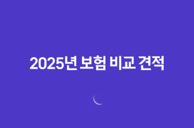 2025년 보험 비교 견적 - 10가지 꿀팁과 추천 사이트 완벽 분석 19