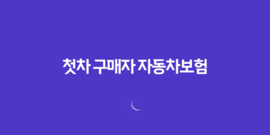 첫차 구매자를 위한 자동차보험 가이드 - 꼭 알아야 할 5가지 20 첫차 구매자를 위한 자동차보험 가이드 - 꼭 알아야 할 5가지 19