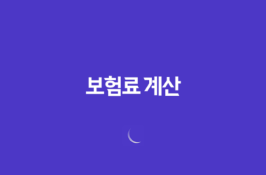 보험료 계산(+ 2025년 나에게 맞는 보험 찾기) 27