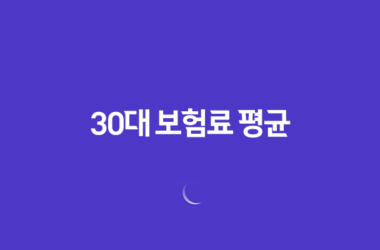 30대 보험료 평균(+ 2025년 최신 정보와 현명한 보험 가입 가이드) 15