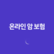 온라인 암 보험(+ 2025년 무배당 우체국 온라인 암보험 가입 방법 및 최신 정보) 31
