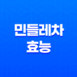 민들레차 효능 및 부작용 33