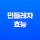 민들레차 효능 및 부작용 15