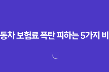 2025 자동차 보험료 폭탄 피하는 5가지 비밀 전략 24 2025 자동차 보험료 폭탄 피하는 5가지 비밀 전략 23