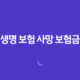 생명 보험 사망 보험금 : 2025년 알아야 할 모든 것 - 종류, 절차, 세금, 현명한 선택 가이드 13