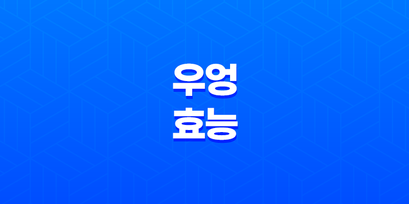 우엉 효능과 우엉차의 놀라운 효과 8 우엉 효능과 우엉차의 놀라운 효과 7