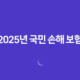 2025년 국민 손해 보험(+ 종류, 혜택, 가입, 청구, 고객센터 정보 총정리) 24 2025년 국민 손해 보험(+ 종류, 혜택, 가입, 청구, 고객센터 정보 총정리) 23