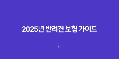 슬기로운 2025년 반려견 보험 가이드(+ 펫팸족을 위한 맞춤 정보) 50 슬기로운 2025년 반려견 보험 가이드(+ 펫팸족을 위한 맞춤 정보) 49