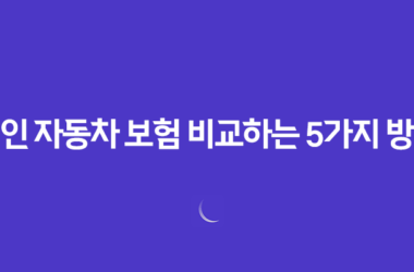법인 자동차 보험 비교하는 5가지 방법(+ 보험료, 임직원 범위, DB까지 꼼꼼하게!) 25