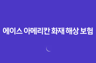 에이스 아메리칸 화재 해상 보험 2025(+ 상세 정보 및 고객 센터 안내) 23