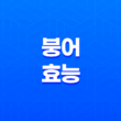 붕어 효능 및 부작용, 다이어트 23