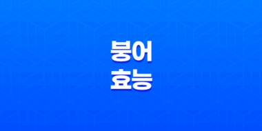 붕어 효능 및 부작용, 다이어트 31