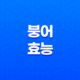 붕어 효능 및 부작용, 다이어트 23