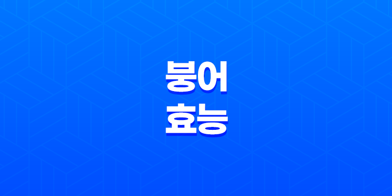붕어 효능 및 부작용, 다이어트 8 붕어 효능 및 부작용, 다이어트 7