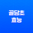 골담초 효능, 골담초 열매, 골담초 꽃말 15
