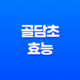 골담초 효능, 골담초 열매, 골담초 꽃말 21