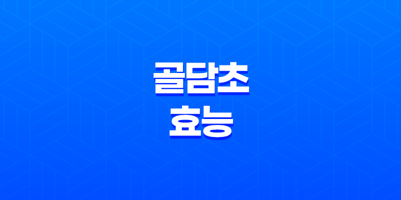 골담초 효능, 골담초 열매, 골담초 꽃말 7