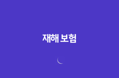 재해 보험(+ 예상치 못한 사고에 대비하는 방법) 17