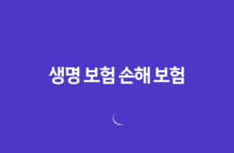 생명 보험 손해 보험 : 2025년 완벽 비교 가이드 - 차이점, 장단점, 겸영 금지 이유 67