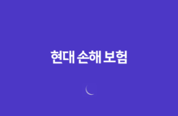 현대 손해 보험(+ 2025년 꼭 알아야 할 정보와 꿀팁 : 채용, 상품 분석, 다른 회사 비교) 69
