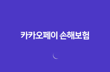 카카오페이 손해보험(+ 2025년, 내게 맞는 보험을 톡톡!) 17