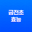 금전초 효능 및 부작용 15