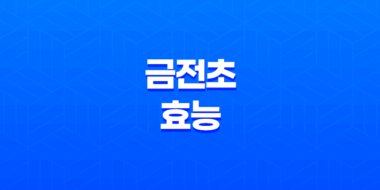 금전초 효능 및 부작용 51
