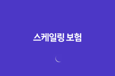 스케일링 보험(+ 적용 횟수와 가격, 비용, 방법, 기간, 나이, 조회는?) 13