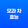 모과 차 효능 및 부작용, 감기 예방 15