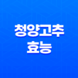 청양고추 효능과 부작용 알아보기 23