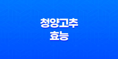 청양고추 효능과 부작용 알아보기 23