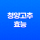 청양고추 효능과 부작용 알아보기 23