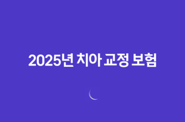 2025년 치아 교정 보험 완벽 가이드(+ 종류, 비용, 혜택, 가입 조건 총정리) 27
