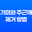 기미와 주근깨 제거 방법 25