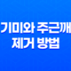 기미와 주근깨 제거 방법 25