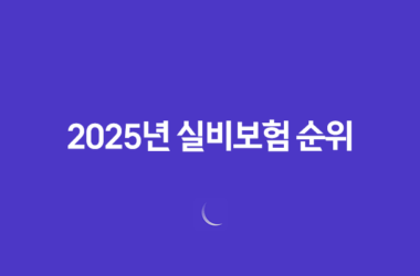 2025년 실비보험 순위 완벽 분석(+ 후회 없는 선택 가이드) 18 2025년 실비보험 순위 완벽 분석(+ 후회 없는 선택 가이드) 17