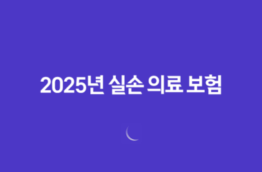 2025년 실손 의료 보험 : 꼭 알아야 할 변경 사항과 현명한 가입 전략 - 가입, 조회, 청구, 연말정산까지 완벽 정리 24 2025년 실손 의료 보험 : 꼭 알아야 할 변경 사항과 현명한 가입 전략 - 가입, 조회, 청구, 연말정산까지 완벽 정리 23
