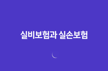 실비보험과 실손보험, 어떤 차이가 있을까요? 30 실비보험과 실손보험, 어떤 차이가 있을까요? 29