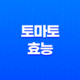 토마토 효능 및 부작용 15