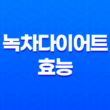 녹차다이어트 효능, 부작용, 먹는법 총정리 13