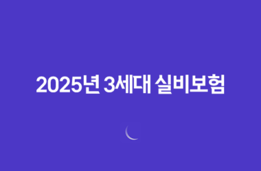 2025년 3세대 실비보험 - 자기부담금, 도수치료, 할증, 그리고 현명한 선택 15