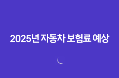 2025년 자동차 보험료 예상(+ 내 차 보험료, 얼마나 나올까?) 21
