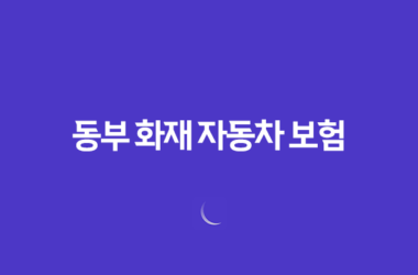 동부 화재 자동차 보험 DB손해보험 13