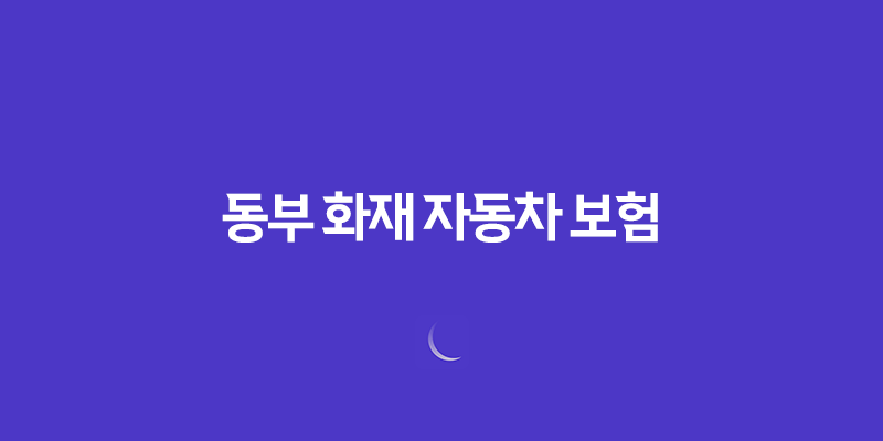 동부 화재 자동차 보험 DB손해보험 333